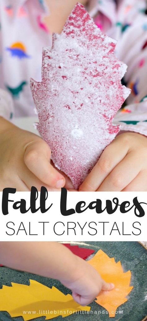 Leaves Science Experiment, Fall Science Activities, Fall Stem Activities, Stem Activity For Kids, Season Salt, Fall Science, Toddler Science Experiments, Holiday Science, Kitchen Science