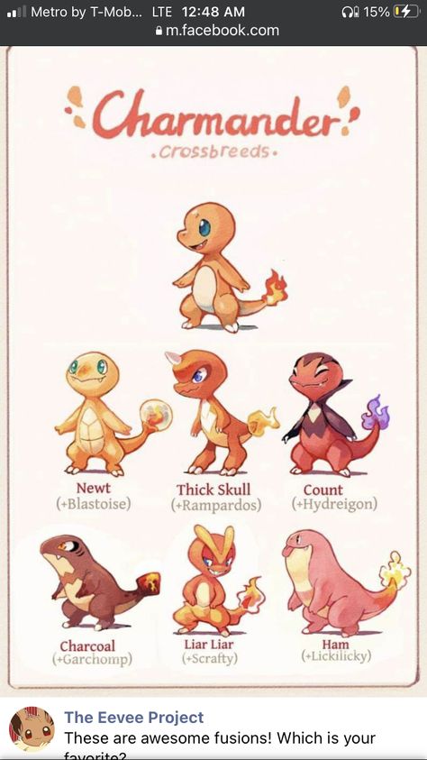 Pokemon Fan Evolutions, Fuecoco Pokemon Art, Eeveelution Fusion Art, Vulpix Fusion, Pokemon Mix, Fakemon Ideas, Pokemon Realistic, Pokemon Starters, Pokemon Fusion Art