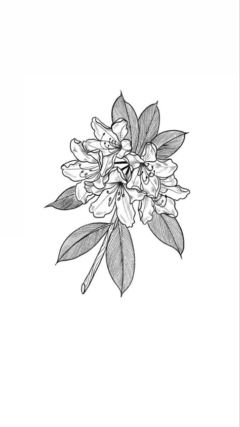 Rhododendron Tattoo Small, Pnw Flower Tattoo, Rodedenderon Tattoo, Rodadendren Flower Tattoo, Rhododendron Drawing Simple, Rhodendron Tattoo, Rhodedendrum Tattoo, Coast Rhododendron Tattoo, Pacific Rhododendron Tattoo