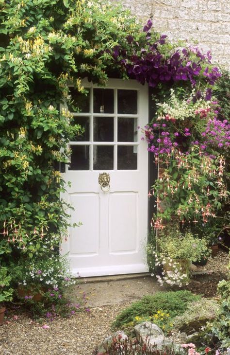 A lonely door gets a serious makeover thanks to an arch of flowing clematis. Cottage Front Door, Honeysuckle Cottage, Clematis Trellis, Cottage Front Doors, Cottage Door, Climbing Rose, Front Door Entrance, English Cottage Garden, Front Door Colors