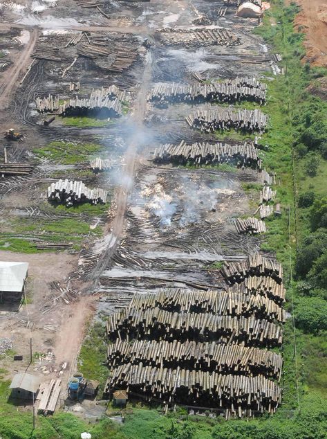 Incêndios na Amazônia ameaçam dizimar indígenas isolados Mysterious Photography, The New Colossus, Photojournalism, Our Planet, Mother Earth, Norway, City Photo, Planets, Forest