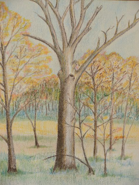 Color Pencil drawing of fall trees Colored Pencil Fall Drawing, Fall Trees Drawing, Autumn Drawing Pencil, Fall Tree Drawing, Drawing Ideas Easy Pencil, Autumn Tree Drawing, Drawing Ideas Colored Pencil, Fall Drawing Ideas, Tree Drawings