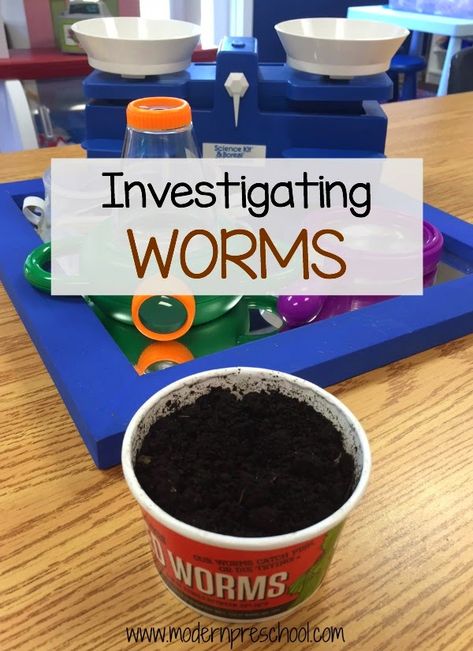 Worms Preschool, Worm Science, Modern Preschool, Craft Ideas For Beginners, April Preschool, Pre-k Science, Christmas Paper Craft, Insects Preschool, Bugs Preschool