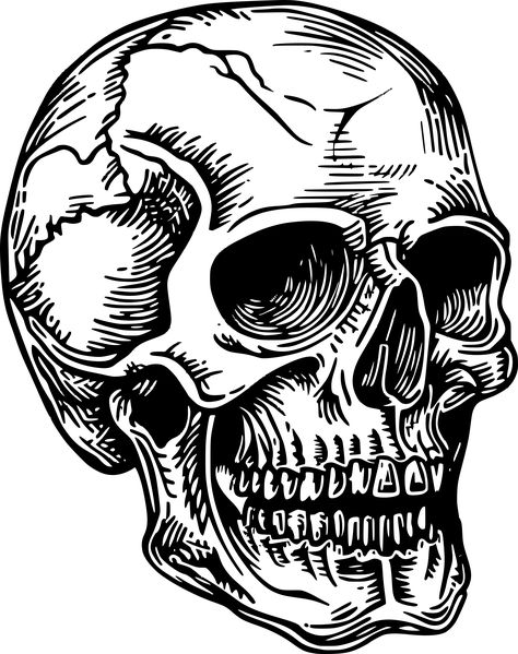 Skull Stencil, Draw Ideas