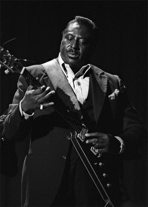 Albert King was an American blues guitarist and singer, and a major influence in the world of blues guitar playing. King was posthumously inducted into the Rock and Roll Hall of Fame in May 2013. Albert King, Blues Musicians, Delta Blues, Blues Artists, Universal Language, Live Wire, Blues Guitar, Ray Charles, Black Music