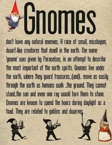 Gnome Lore, Gnome Folklore, Mystical Creatures Mythology, Fae Folk, Magic Land, Types Of Fairies, Witch Spirituality, Wiccan Spell Book, Legends And Myths