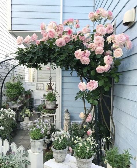 Small Backyard Rose Garden, Backyard Rose Garden, Garden Front Porch, Flower Garden Pictures, Front Yard Flowers, Climbing Clematis, Yard Flowers, Rose Garden Design, Climbing Flowers