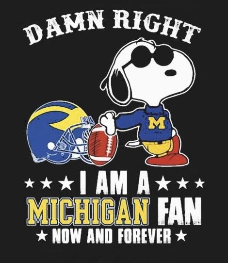 Msu Vs Michigan, Michigan Wallpaper, Go Blue Michigan, Michigan Go Blue, University Of Michigan Wolverines, Wolverines Football, Michigan Wolverines Football, Michigan Football, Dream School