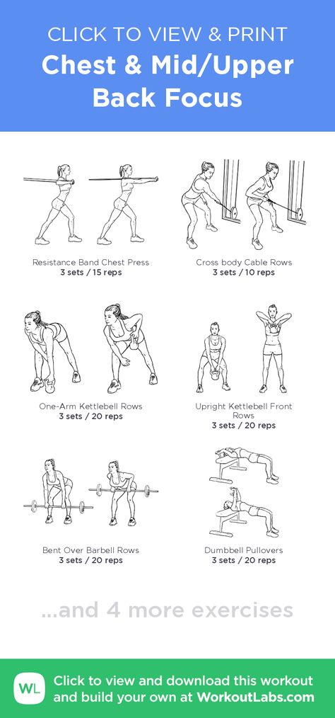 Chest & Mid/Upper Back Focus – click to view and print this illustrated exercise plan created with #WorkoutLabsFit Mid Back Exercises Women, Mid Back Exercises Gym, Mid Back Exercises Workout, Mid Back Workout Gym, Mid Back Workout Women, Cheat And Back Workout, Mid Body Workout, Chest And Back Exercises, Chest And Back Workout Women