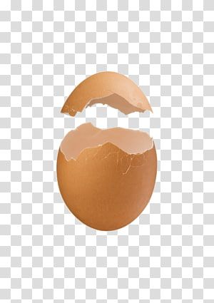 Metaphor Advertising, Egg Poster, Seashell Drawing, Egg Png, Century Egg, Brown Egg, Eggs Image, Egg Pictures, Chicken Logo