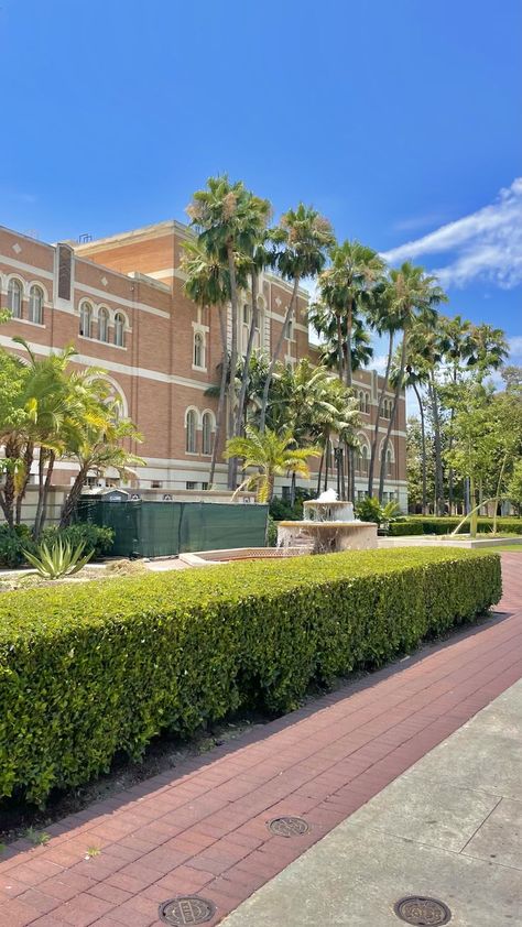 University Of California Los Angeles, University Of Southern California Aesthetic, Usc Aesthetic, College Manifestations, Los Angeles University, University Southern California, Beach University, Usc University, California School