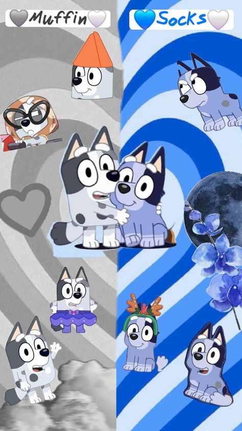 Love this duo!✨️🩶✨️💙✨️ #bluey #muffin #socks #aesthetic #wallpaper #fyp #follow #like Muffin Wallpaper Bluey, Socks From Bluey Wallpaper, Muffin Bluey Wallpaper, Socks From Bluey, Muffin Wallpaper, Muffin And Socks, Muffin Costume, Bluey Wallpaper, Muffin Bluey