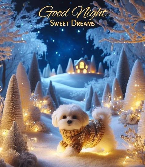 Evening Quotes, Good Night Funny, Day Of The Dead Art, Merry Christmas Pictures, Beautiful Good Night Images, Cute Good Night, Slaap Lekker, Good Night Blessings, Holiday Quotes