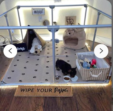 Aesthetic Dog Room, Dog Play Pen Indoor, Dog Bedroom Ideas, Dog Room Design, Pet Enclosures, Dog Playpen Indoor, Puppy Essentials, Dog Closet, Dog Room Decor