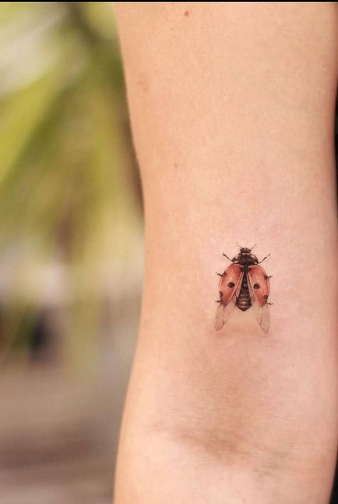 Ladybug Open Wings Tattoo, Beatle Tattoo Insect Simple, Realistic Ladybug Tattoo, Apricity Tattoo, Ladybug Tattoo Small Simple, Small Insect Tattoo, Fine Line Ladybug Tattoo, Small Whimsical Tattoos, Simple Ladybug Tattoo