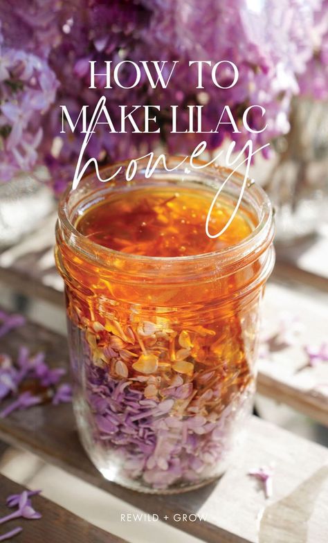 How to make lilac honey, or any herbal infused honey. Enjoy the medicinal benefits of herbs with this easy step by step. Lilac Infused Honey, Lilac Honey Recipe, Ayurvedic Aesthetic, Lilac Recipes, Alternative Christmas Tree Diy, Lilac Honey, Herb Infused Honey, Healthful Foods, Floral Recipes