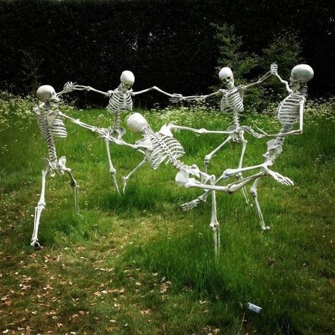 Skeleton Pics, Silly Skeleton, Hatfield House, Canadian Women, Scary Decorations, Arte Punk, Funny Skeleton, Goofy Pictures, Halloween Yard