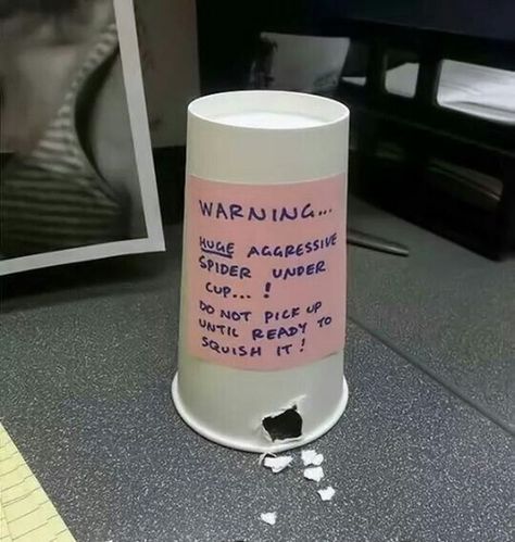 Put this cup upside down on your kid’s desk. | 50 Genius April Fools’ Day Pranks That Will Totally Trick Your Kids Prank Wars Ideas Friends, House Pranks, Office Prank, Evil Pranks, Funny April Fools Pranks, Best April Fools, Office Pranks, Prank Ideas, April Fools Joke