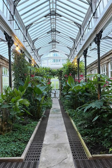 How the orangery became the most social room in – or out of – the house | Tatler Italian Greenhouse, Dark Blue Kitchen Cabinets, Dark Blue Kitchen, Social Room, Kitchen Color Scheme, Brown Combination, Dark Blue Kitchens, The Orangery, Proper English