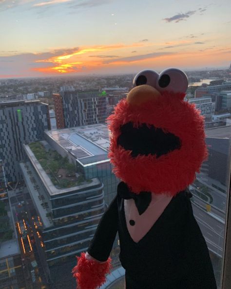 MOMO | Sesame Street on Instagram: “Am I looking handsome? #elmo#sesamestreet#sesamstrasse#plushiesofinstagram…” Elmo Memes, Elmo Wallpaper, Looking Handsome, Elmo And Friends, Elmo World, Elmo And Cookie Monster, Elmo Sesame Street, Sesame Street Muppets, Swag Pics