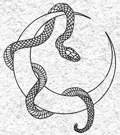 Snakes, The Story, Tattoo Designs, Band, Tattoos, White, Black