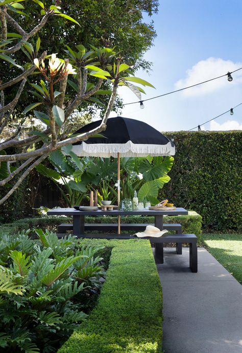 Alocasia Plant, Landscape Rock, Hervey Bay, Outdoor Table Settings, Festoon Lighting, House Landscape, Tropical Landscaping, Australian Homes, Tropical Garden