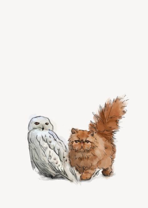 Hermione's Cat, Harry Potter Pets, Harry Potter Art Drawings, Tapeta Harry Potter, Harry And Hermione, Harry Potter Illustrations, Theme Harry Potter, Harry Potter Drawings, Harry Potter Room