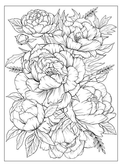 Flower Colouring, Peony Drawing, White Page, Flower Art Drawing, Colouring Page, Flower Sketches, Floral Drawing, Leaves Vector, 수채화 그림