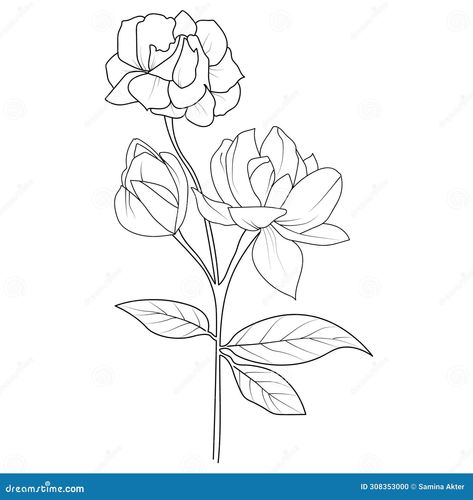 Easy jasmine flower, sketch jasmine flower drawing, tattoo jasmine flower drawing, outline jasmine flower tattoo, simple jasmine flower tattoo, minimalist jasmine flower tattoo, white jasmine flower drawing, realistic jasmine flower drawing, art jasmine flower drawing, line art simple jasmine flower drawing Jasmine Flower Drawing Tattoo, Jasmine Flower Sketch, Flower Drawing Outline, Flower Drawing Line Art, Jasmine Flower Drawing, Pencil Typography, White Jasmine Flower, Line Art Simple, Tattoo White