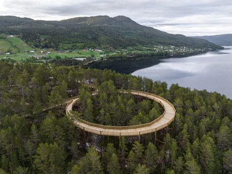 Forest Architecture, Protect Nature, Architecture Images, Forest Path, Clear Lake, Forest Photography, Adventure Camping, Tree Tops, Pine Forest