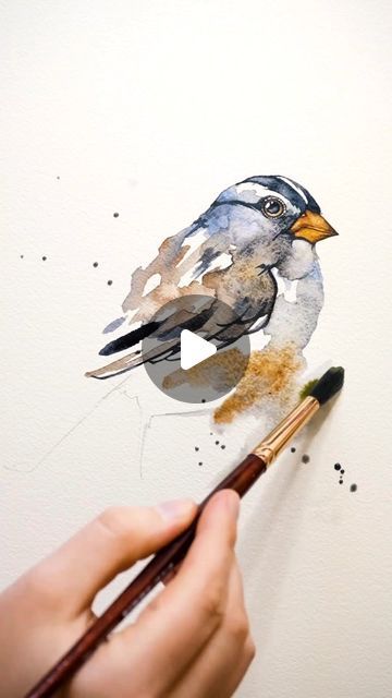 Sparrow Pictures, Sparrow Painting, Sparrow Drawing, Sparrow Art, Snow Bird, Bird Watercolor Paintings, Bird Watercolor, Arches Paper, April 29