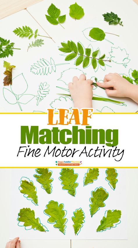 Leaf Matching Activity for Preschoolers  - Happy Toddler Playtime Leaf Activity Preschool, Matching Activity For Preschoolers, Leaf Activities, Room Activities, Activity For Preschoolers, Toddler Themes, Daycare Room, Nature Craft, Vbs 2024