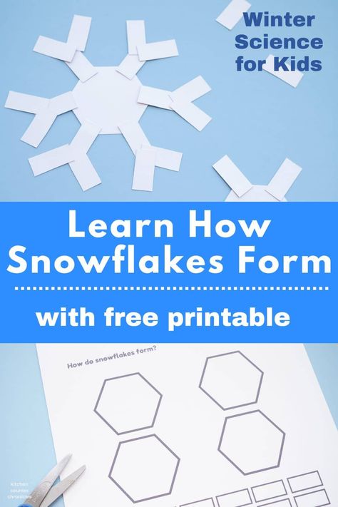 Learn how snowflakes form. The science behind the formation of snowflakes - with a free printable and hands on winter science activity for kids. #winterstem #stemactivity #snowscience #snowflakescience Snow Learning Activities For Kids, Stella Queen Of The Snow Activities, Snow Flakes Pictures, Snow Homeschool Activities, How Snowflakes Are Made, Life Cycle Of A Snowflake Free Printable, Snowflake Stem Activities For Kids, Snowflake Science Experiment, Snowflakes For Preschoolers