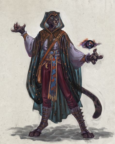 Tabaxi Noble, Khajiit Mage, Tabaxi Pirate, Tabaxi Wizard, Tabaxi Sorcerer, Tabaxi Dnd, Sorcerer Art, Dnd Tabaxi, Npc Art