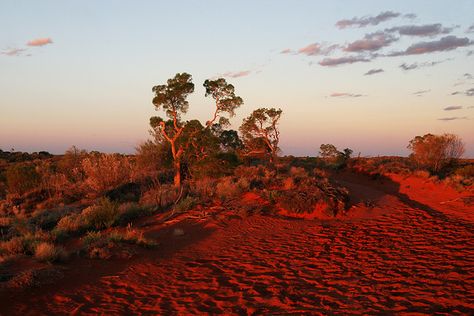 Australia Desert, Australian Scenery, Scenery Aesthetic, Red Landscape, Wide Angle Photography, Skyline Tattoo, Australian Desert, Desert Aesthetic, Earth Green