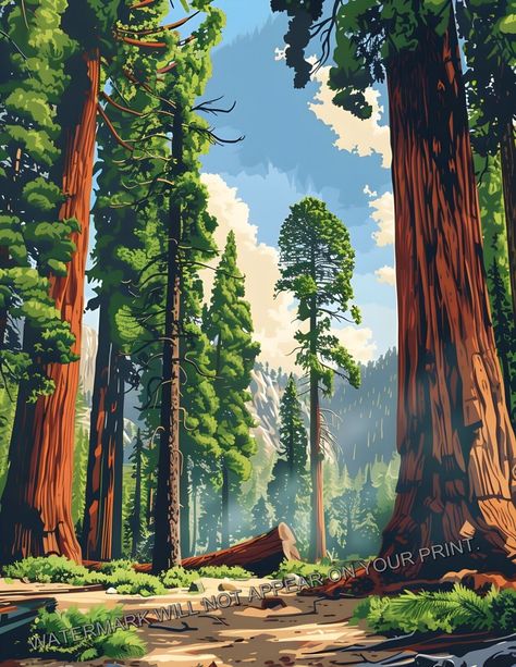 Redwood National Park Old Growth Forest California Giclée Art Print 8.5X11 Redwood Trees California, Redwood Tree Art, Redwood Painting, Old Growth Forest, Procreate Ideas, Photography Reference, Large Landscape Painting, Park Project, Forest Drawing