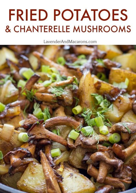 Potato Mushroom Recipe, Chanterelle Mushroom Recipes, Chanterelle Recipes, Fungi Recipe, Wild Mushroom Recipes, Chanterelle Mushrooms, Wild Food Foraging, Mushroom Dish, Homemade Lunch