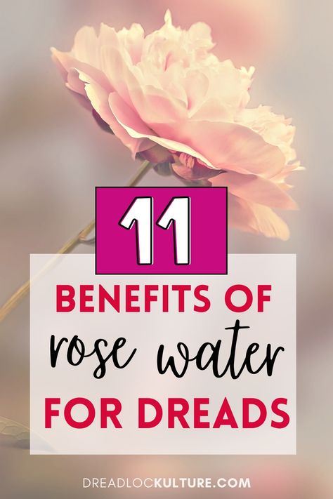 This blog answers questions like 'What is the best rose water for locs' and 'How to use rose water for locs'. The Rose water recipe for locs is so amazing, it made a huge difference in my dreads. Rice Water For Locs, Rose Water For Locs, Rose Water For Hair, How To Grow Dreadlocks, Rose Water Diy Recipes, Rose Water Hair, How To Do Dreadlocks, Rosewater Recipe, Rose Water Benefits