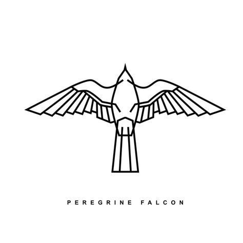 Falcon Logo Design, Ancient Egypt Illustration, Ancient Logo, Egypt Illustration, Falcon Drawing, Falcon Tattoo, Falcon Art, Hawk Logo, Falcon Logo