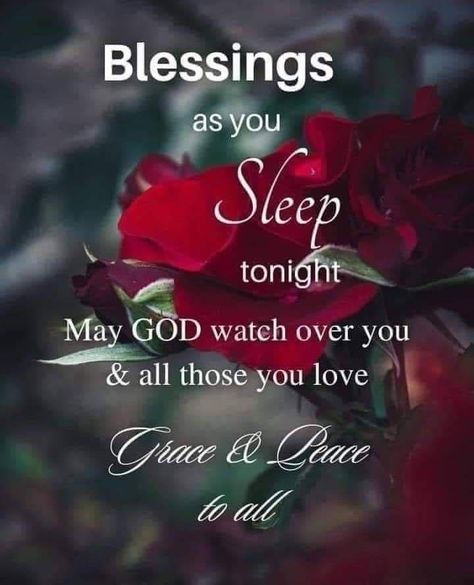 Good Night Blessings Prayer Sleep Well, Sweet Good Night, Sweet Good Night Messages, Good Night Blessings Quotes, Christian Good Morning Quotes, Goodnight Quotes Inspirational, Evening Prayers, Good Night Cards, Goodnight Wishes