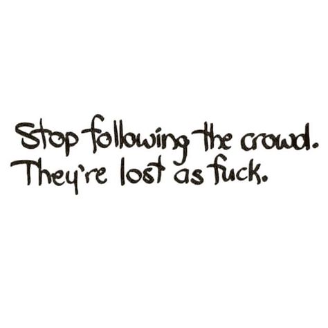 Not Following The Crowd Quote, Following The Crowd Quotes, Stop Following The Crowd They Are Lost, Follow The Crowd Quotes, Stop Following The Crowd, Wallpapers 2024, Egypt Pyramids, Lost Quotes, Feel Good Friday