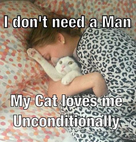 Talking Cats, Cat Humor, Cat Quotes, Funny Cat Memes, Cat Person, My Cat, Crazy Cat Lady, Animal Memes, Crazy Cats