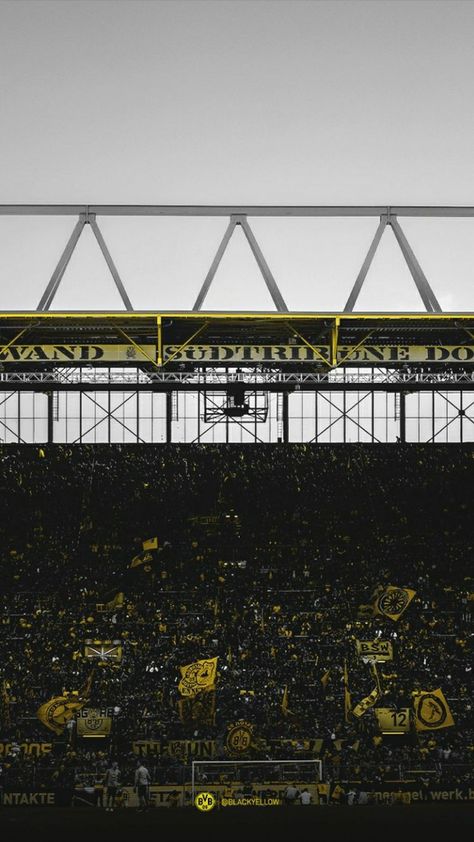 Signal Iduna Park, Music Instruments, Louvre, Building, Music, Travel