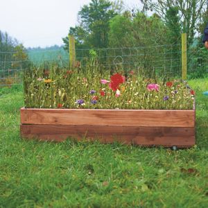 Mini Wildflower Meadow Box Mini Meadow, Making Plant Pots, Wild Flower Meadow, Meadow Garden, Organic Compost, Wildflower Meadow, Garden Bulbs, Garden Types, Wildlife Gardening