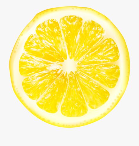 Clipart Aesthetic, Lemon Images, Lemon Pictures, Lemon Clipart, Lemonade Party, Clip Art Pictures, Fruit Slice, Lemon Decor, Lemon Slice