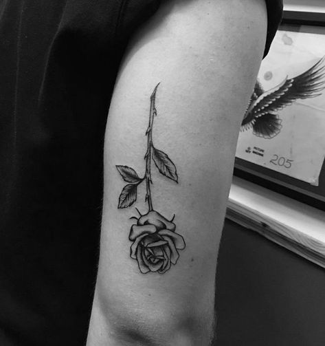 Ashton Irwin Tattoo, 5sos Tattoo, White Rose Tattoos, The Sun Will Rise, L Tattoo, Skeleton Hand Tattoo, Ashton Irwin, S Tattoo, Piercing Tattoo