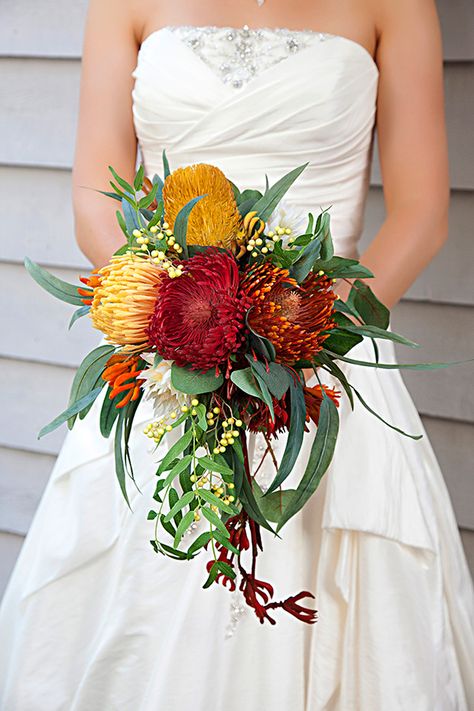 Waratah Wedding Bouquet, Kangaroo Paw Bouquet, Bush Wedding Australian, White Waratah, Aussie Wedding, Native Bouquet, July Wedding Flowers, Bridal Flower Arrangements, Native Wedding