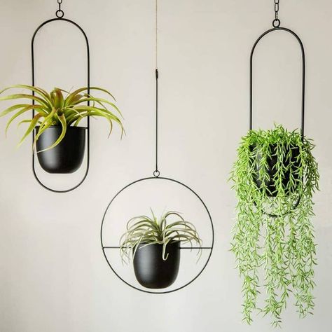 Pot Gantung, Metal Plant Hangers, Large Indoor Plants, Metal Hanging Planters, Modern Planter, Vase Holder, Hanging Flower Pots, Hanging Vases, Modern Planters