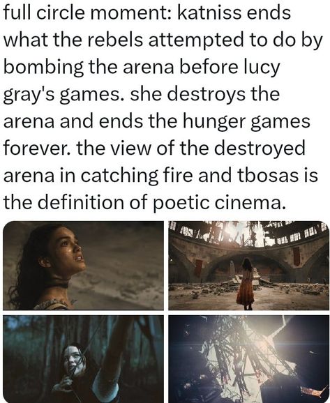 The Hunger Games Theories, Hunger Games Theories, Hunger Games Plot Twist, Hunger Games Finnick, Hunger Games Fan Art, Hunger Games Fandom, Hunger Games Humor, Hunger Games 3, Game Theory