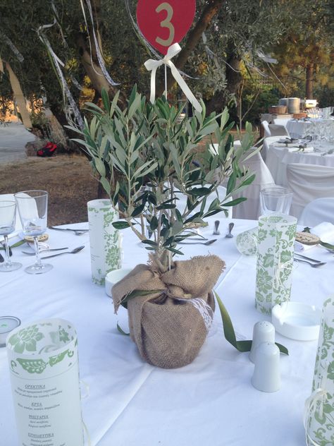 Olive tree centerpiece. Olive Tree Wedding, Branch Centerpieces Wedding, Tree Wedding Centerpieces, Décoration Baby Shower, Olive Branch Wedding, Wedding Tree Decorations, Branch Centerpieces, Olive Wedding, Tafel Decor